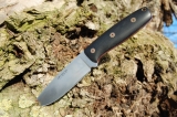 ar36-01